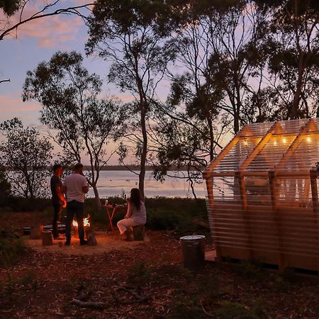 Numie - Freycinet Peninsula - Glamping - Heated - Waterfront Hotel Coles Bay Eksteriør billede