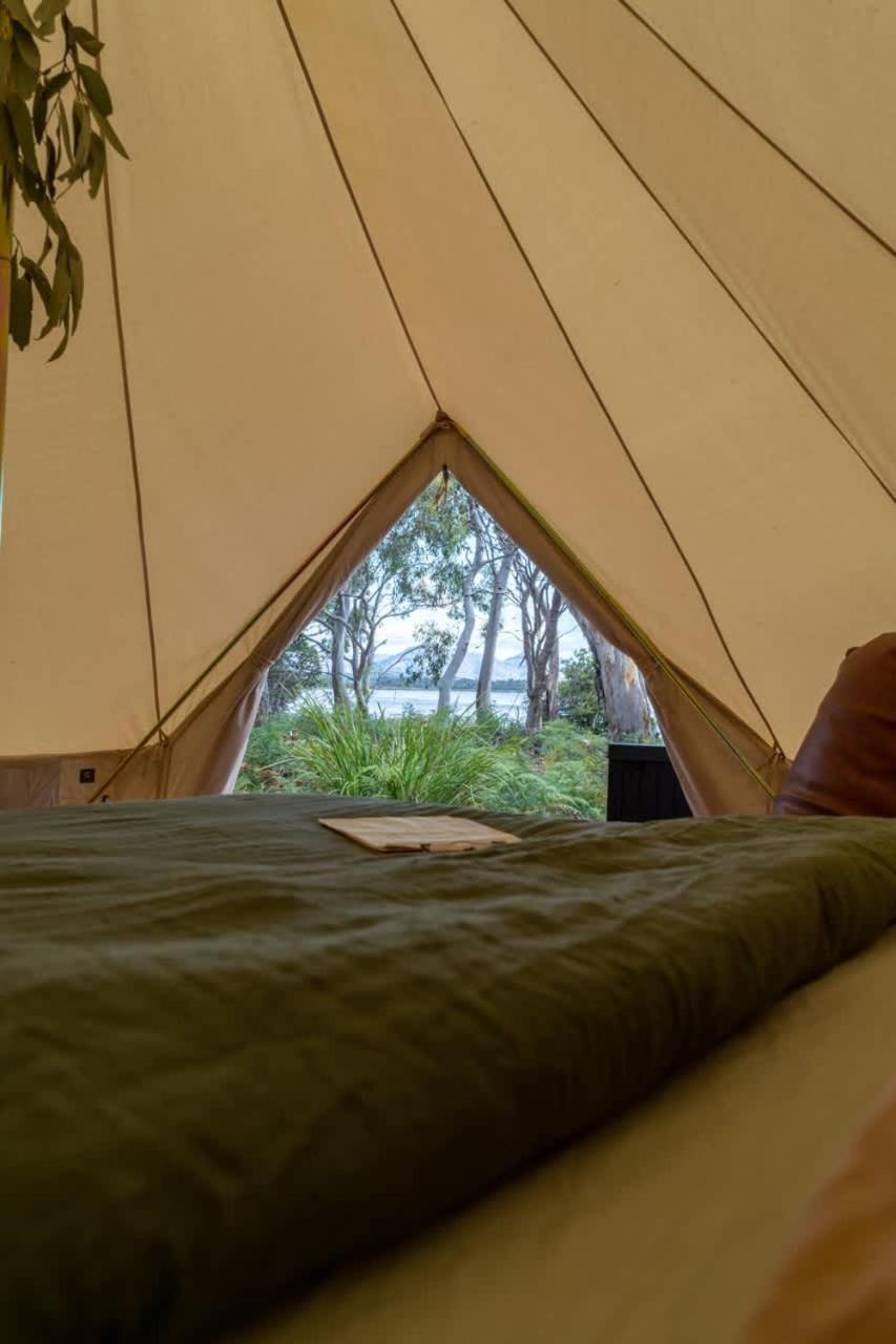 Numie - Freycinet Peninsula - Glamping - Heated - Waterfront Hotel Coles Bay Eksteriør billede