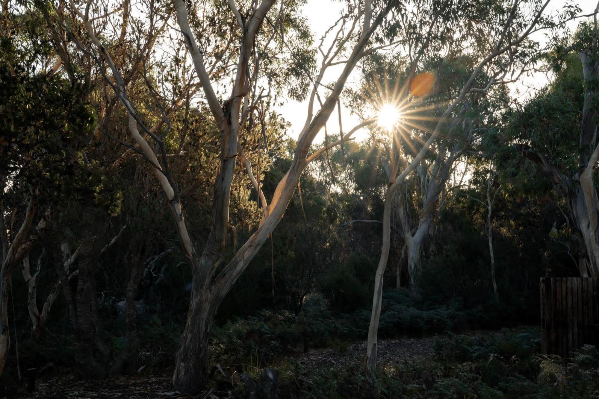 Numie - Freycinet Peninsula - Glamping - Heated - Waterfront Hotel Coles Bay Eksteriør billede