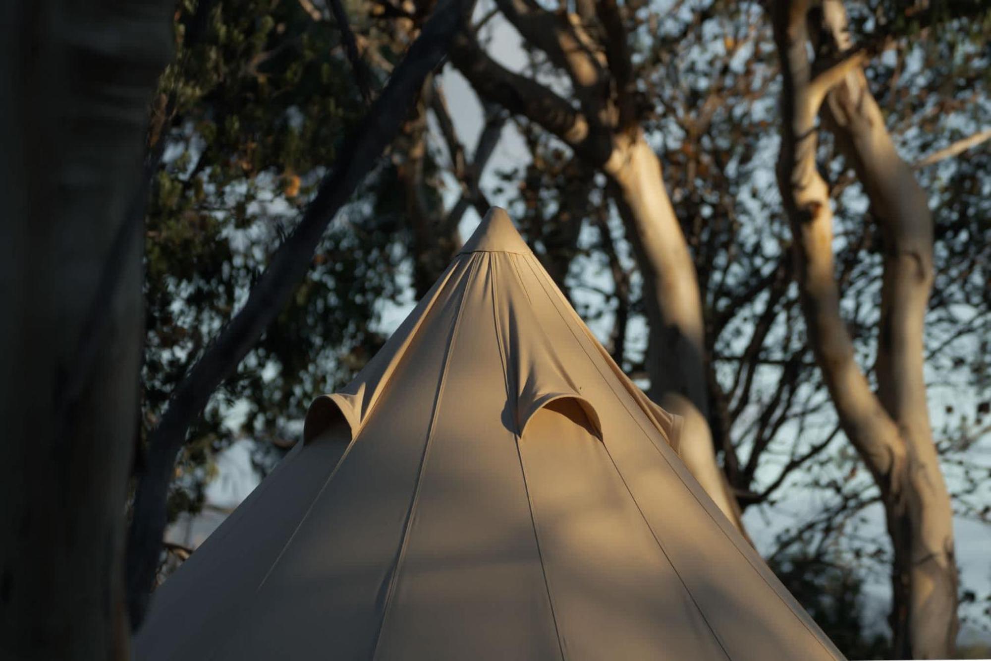 Numie - Freycinet Peninsula - Glamping - Heated - Waterfront Hotel Coles Bay Eksteriør billede