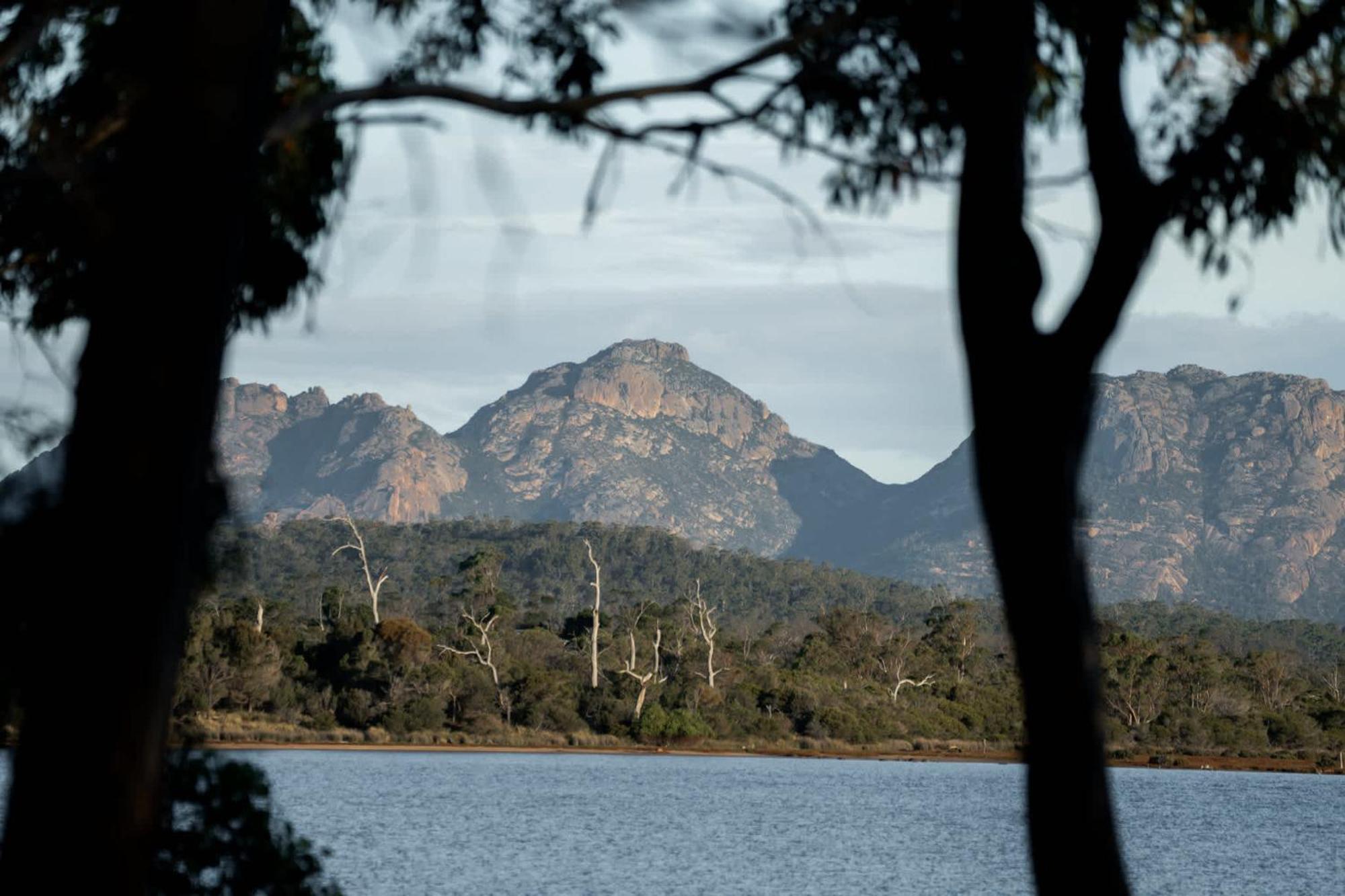 Numie - Freycinet Peninsula - Glamping - Heated - Waterfront Hotel Coles Bay Eksteriør billede