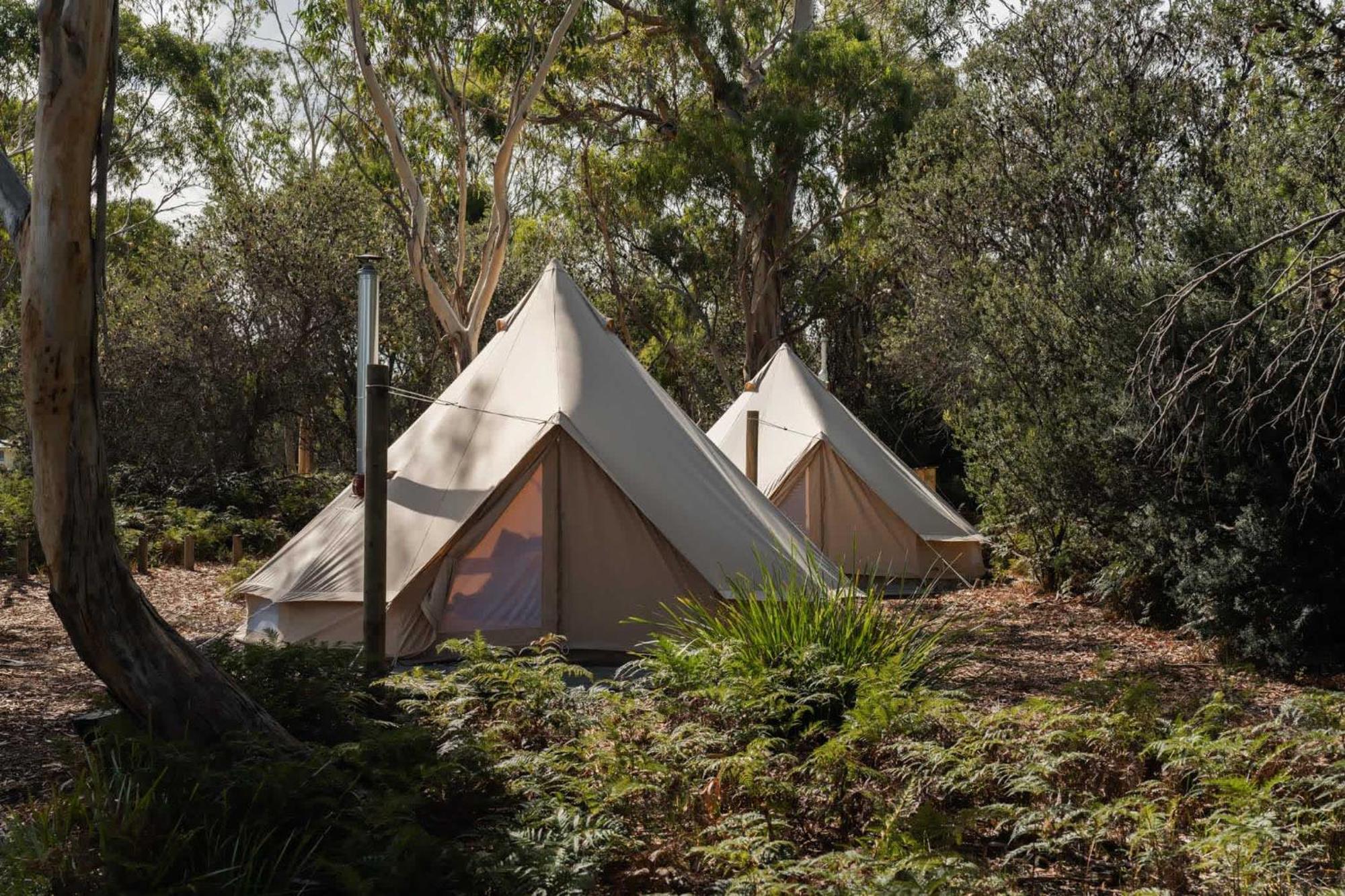 Numie - Freycinet Peninsula - Glamping - Heated - Waterfront Hotel Coles Bay Eksteriør billede