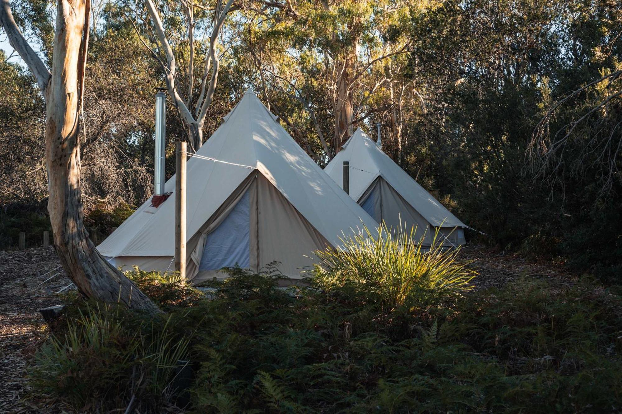 Numie - Freycinet Peninsula - Glamping - Heated - Waterfront Hotel Coles Bay Eksteriør billede