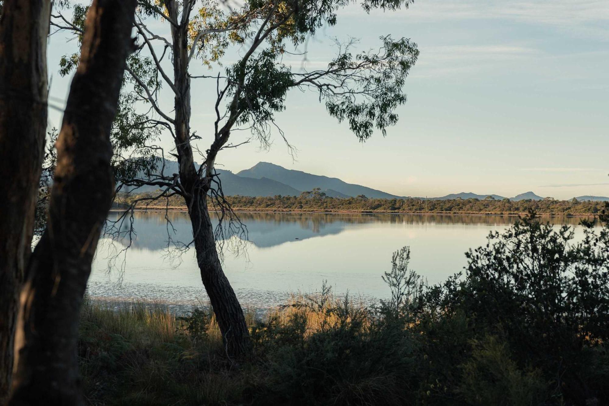 Numie - Freycinet Peninsula - Glamping - Heated - Waterfront Hotel Coles Bay Eksteriør billede