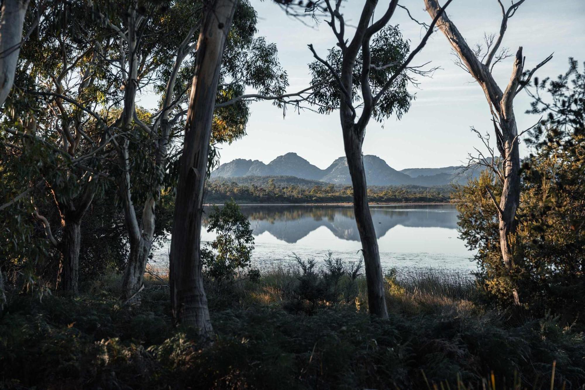 Numie - Freycinet Peninsula - Glamping - Heated - Waterfront Hotel Coles Bay Eksteriør billede